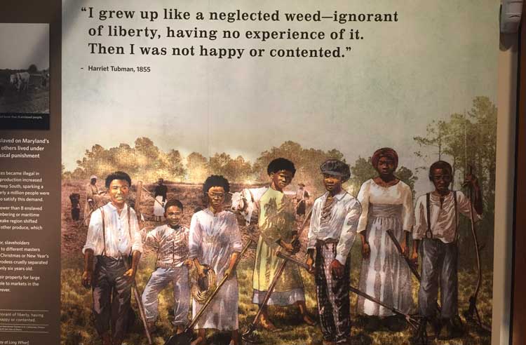 Illustrations, statues and videos tell the story of Harriet Tubman's life at the Harriet Tubman National Historic Site.