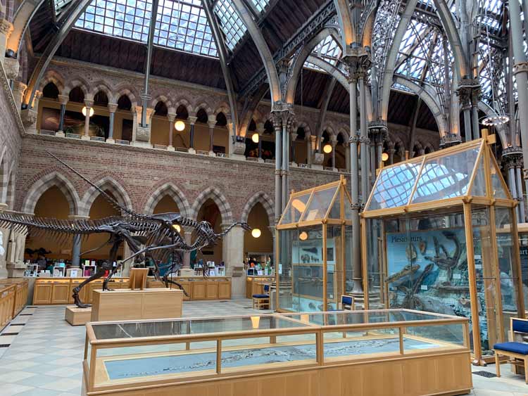 Oxford University Museum of Natural History