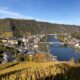 Vineyards in the Moselle Valley. Photo by Claudia Carbone