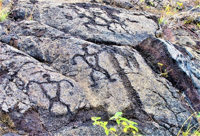 Petroglyph Carvings Depict Part of Hawaii Island’s History. Photo by Victor Block