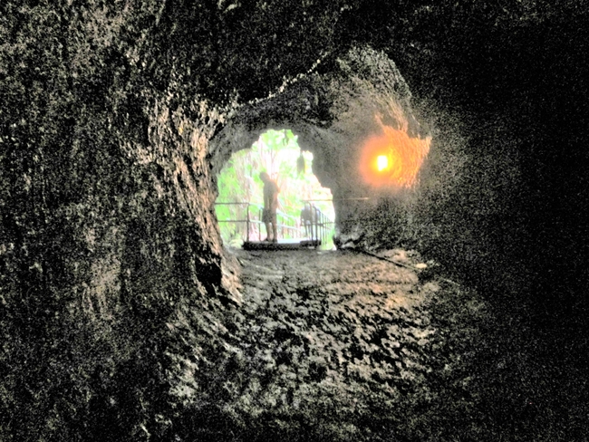 The Thurston Lava Tube on Hawaii Island. Photo by Victor Block