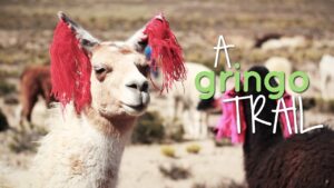 Video: Following the Gringo Trail