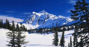 Free Activities in Colorado Ski Country