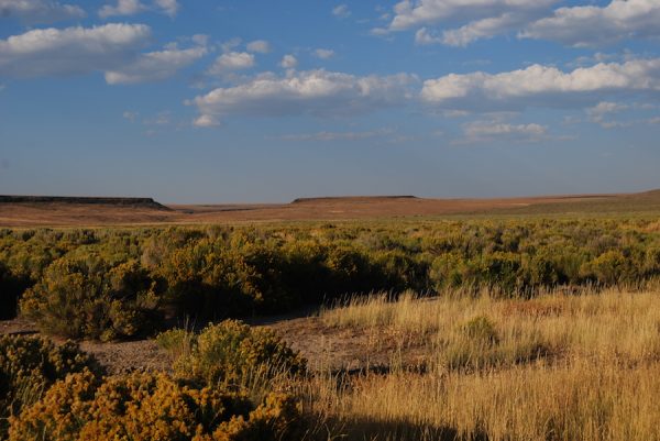 Sheldon National Wildlife Refuge is known for its pristine sagebrush-steppe ecosystem.View of the range looking south from Catnip Reservoir.