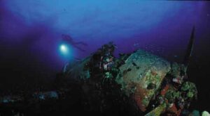 Palau Underwater, From Shark Week to Wreck Diving