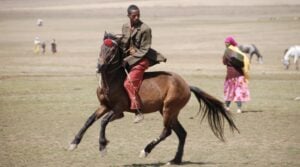 An Oromo man displays his horsemanship in the Bale Mountains region, Southern Ethiopia Image – Sam McManus