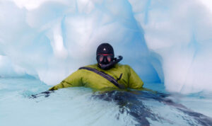 Polar Snorkeling in the Arctic