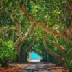 Boca Grande, FL, USA, Pinterest. Photo by shane fowler, Unsplash