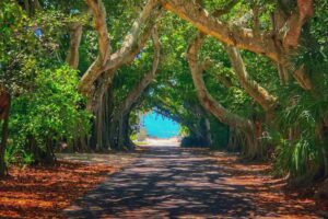 Boca Grande on Gasparilla Island: A Hidden Gem in Florida