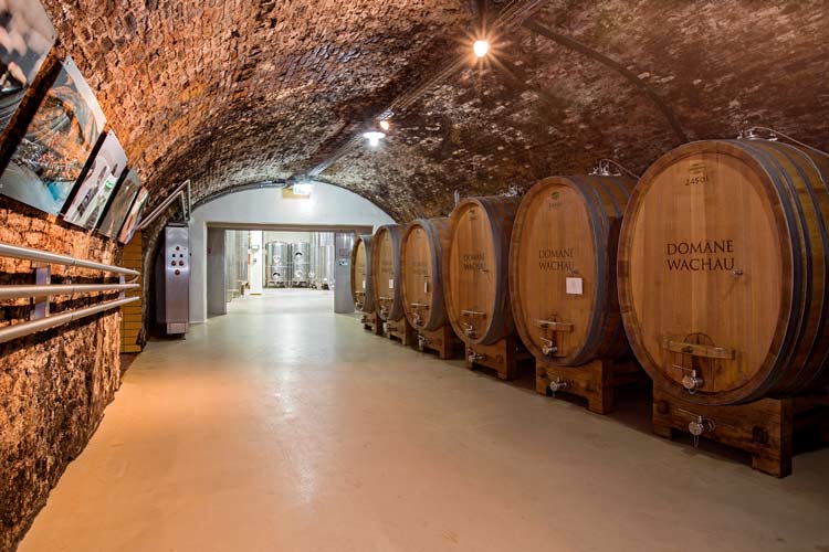 The wine cellars at Domäne-Wachau. Photo by Domäne-Wachau