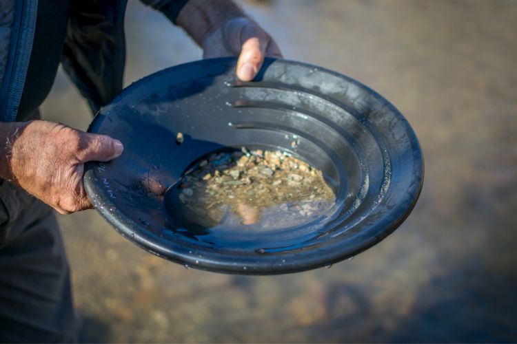 Gold panning