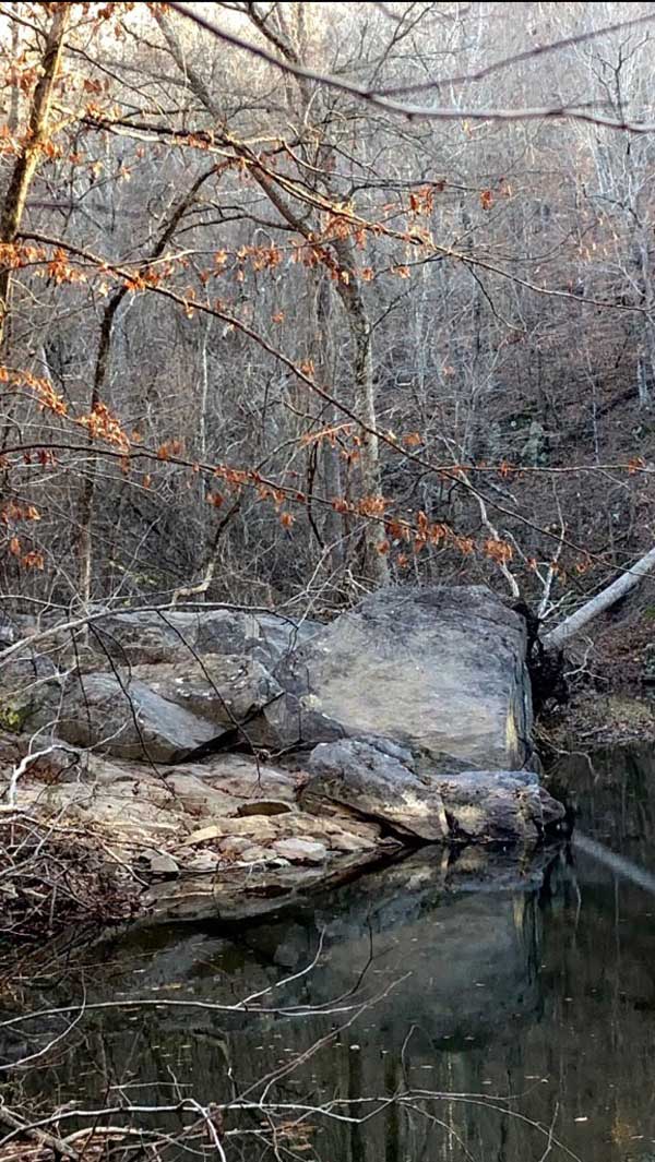 Elephant Rock, Elephant Rock Trail, Chapel Hill, NC. Photo credit Michele Zembow