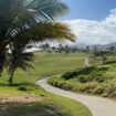 Saint Kitts and Nevis. Photo by Katelyn Comer, Unsplash