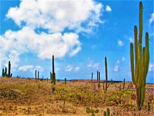 Beaches, Barren Landscape and European Flair Greet Visitors to Aruba