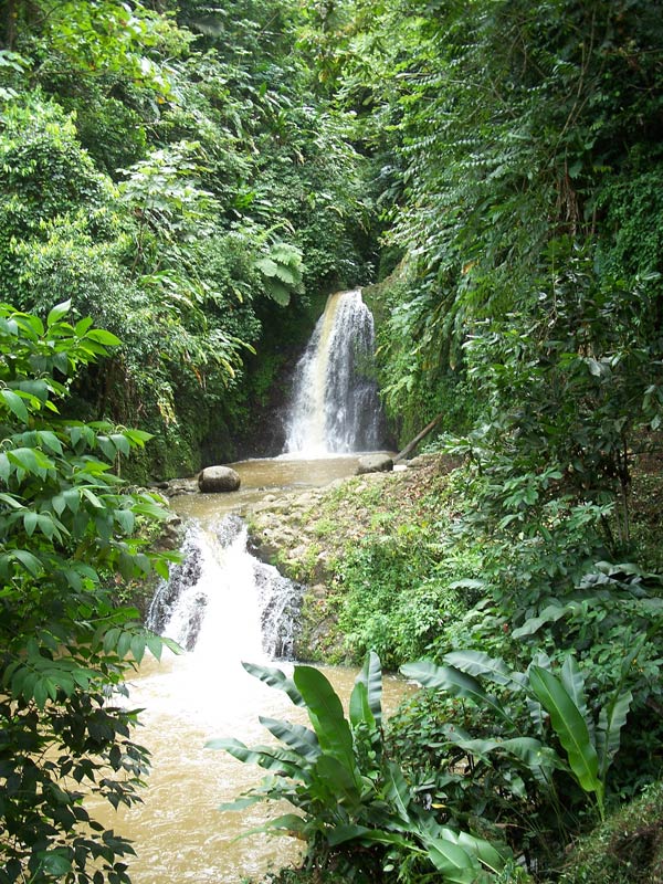 Grenada is lush with waterfalls and tropical forests.