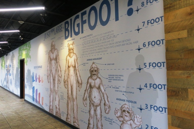 Looking for Bigfoot is one of many unusual activities in Branson, MO. Photo by Fyllis Hockman