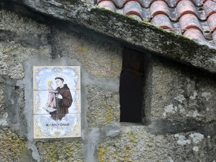 Portuguese born St. Anthony is revered