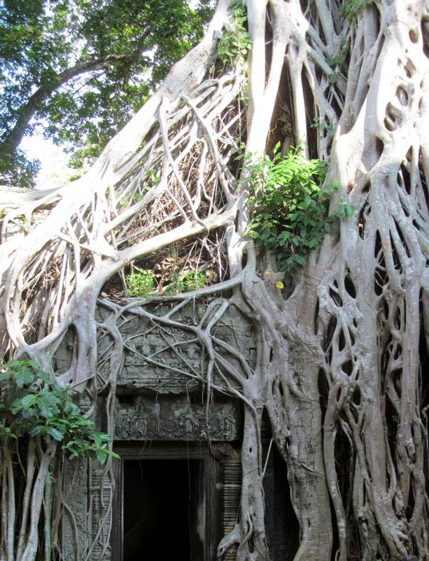 Ta Prohm