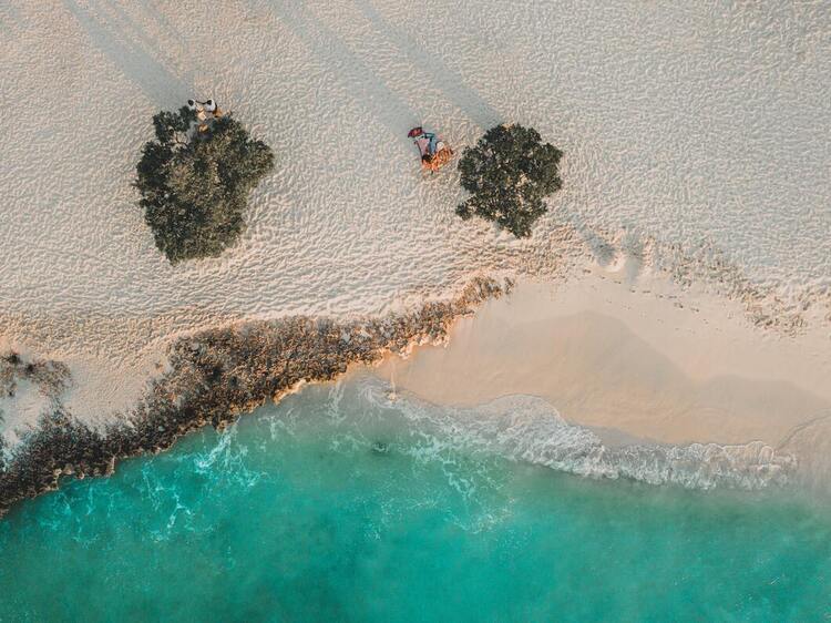 Eagle Beach is easy swimming for everyone. 