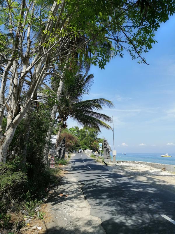 Bali Streets