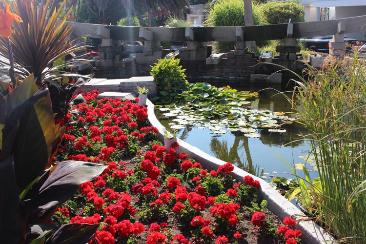 A decorative pond at Gorey Castle in Jersey. Photo by Cleo Harratt