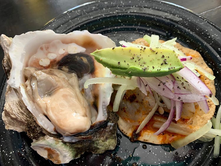 Oysters from Piquillas in Mazatlan, Mexico