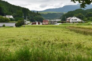 Experience Rural Japan at a Farmhouse Stay in Ubuyama