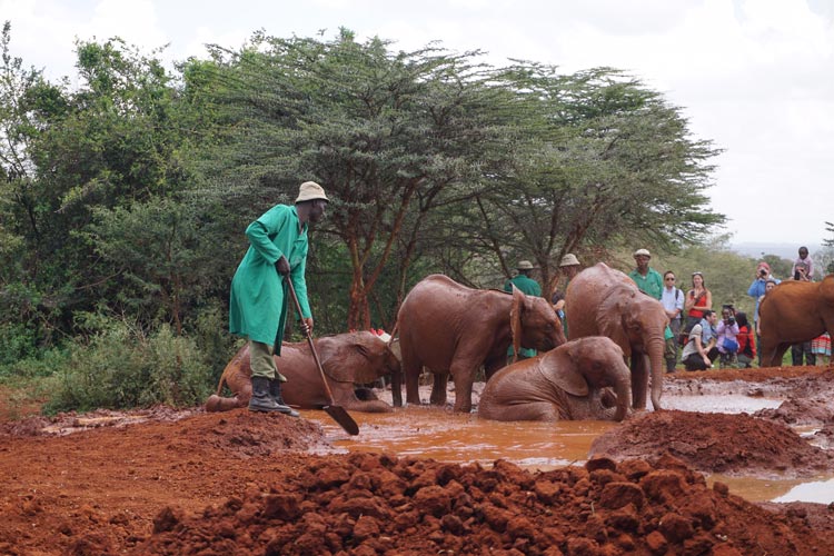 Workers at the Orphans’ Project is part of the David Sheldrick Wildlife Trust