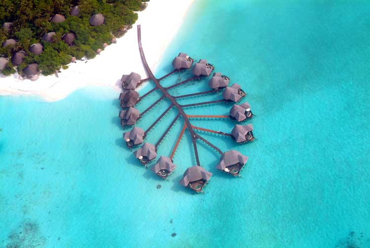 Coco Palm Dhuni Kohlu is located in Baa Atoll in the Maldives