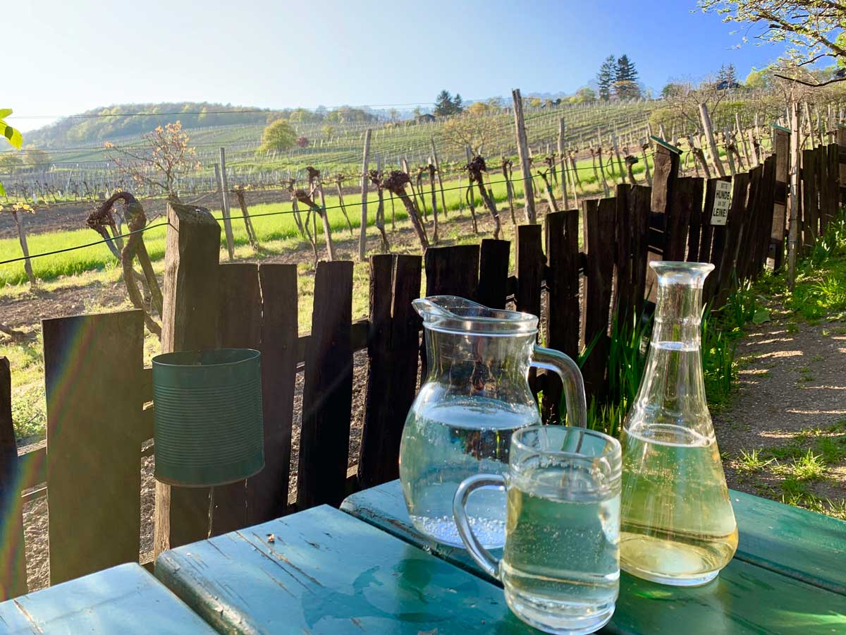 Enjoying a Gemischter Satz at Weinfhof Zimmerman, a heurige in Vienna. Photo by Janna Graber