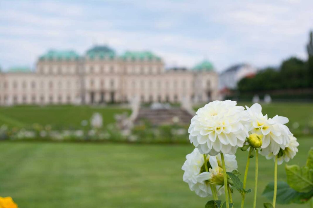 Vienna In The Spring Longing for Vienna in the Spring