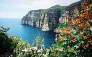 Things to do in Tasmania