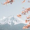 Mountain in Japan. Photo by Life of Wu, Canva