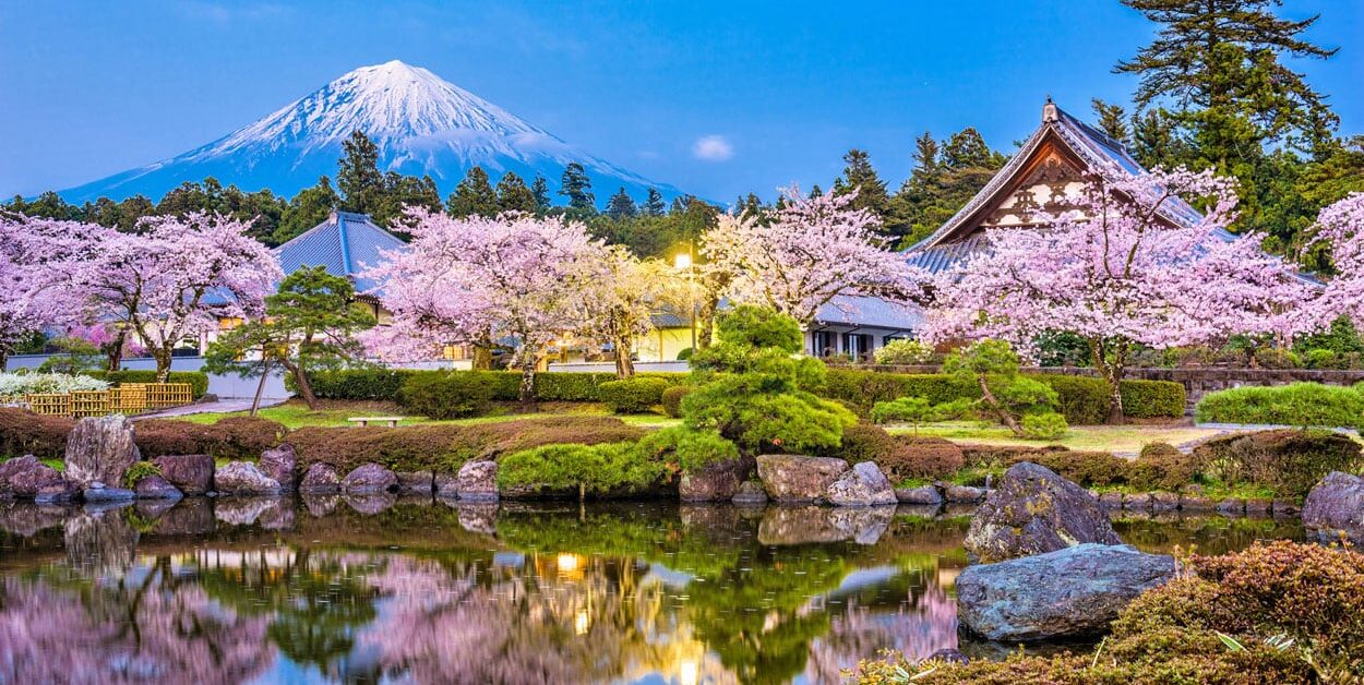 Fujinomiya, Shizuoka, Japan with Mt. Fuji and spring foliage at Taiseki-ji Temple.
