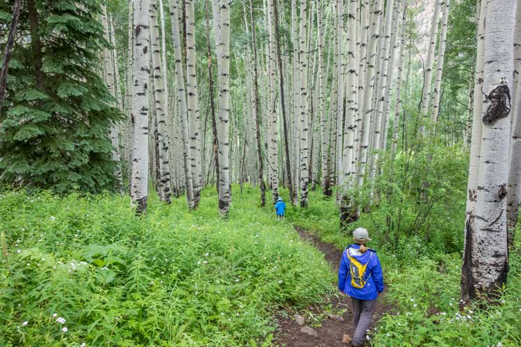 Summers are beautiful in Aspen, Colorado.