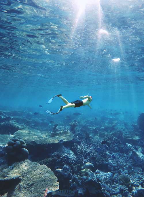 Snorkeling through crystal-clear water to see the Turks and Caicos coral reef.