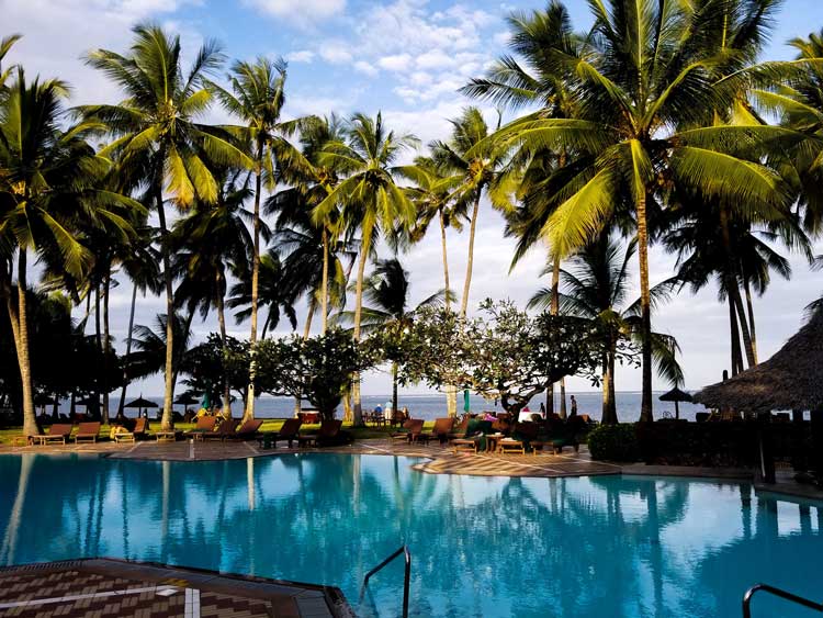 The pool lined with palm trees in the afternoon at the island villa.