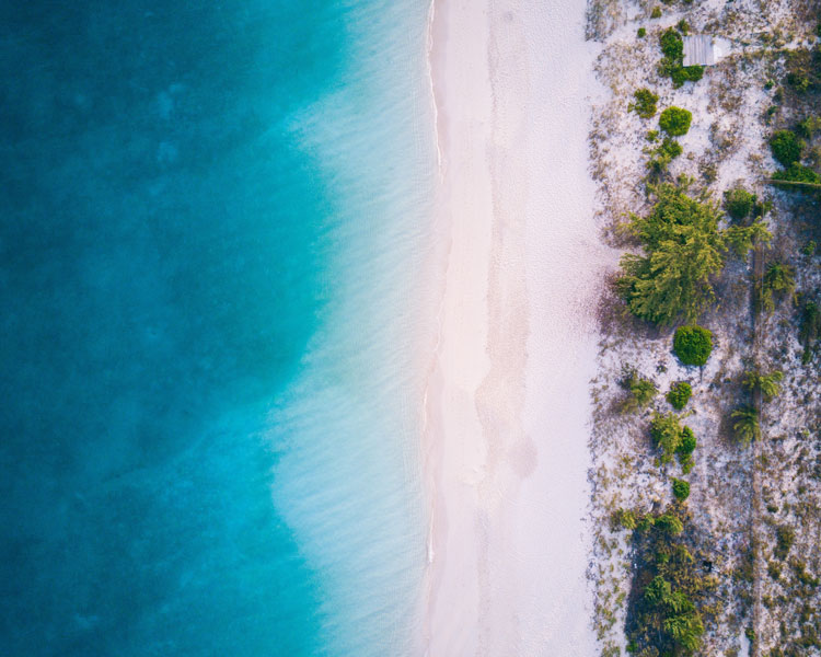 The quiet beach with calm water and tropical plants near Grace Bay.