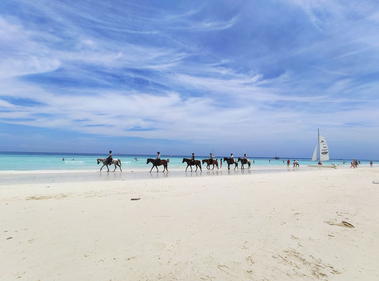 A group riding ponies along the shore near Long Bay Beach.