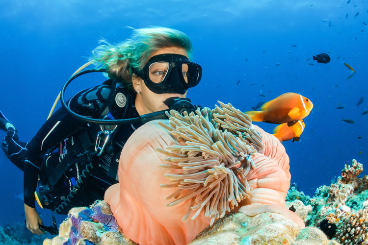 A scuba diver takes in the beauty of the rainbow colored coral reef and marine wildlife.