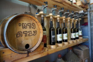 Wine Tasting in Israel’s Negev Highlands