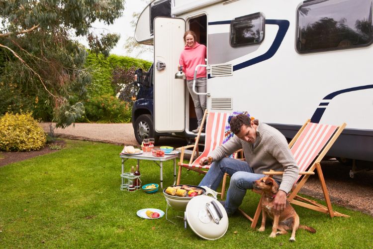 RVing with a dog