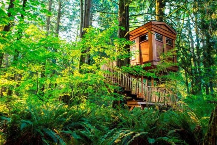 One of the options at TreeHouse Point near Seattle, Washington