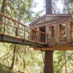 Treehouse Point near Seattle, WA is one of the unique accommodations in the USA. Photo by Treehouse Point