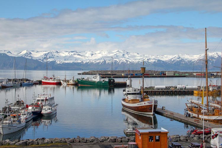 The boat harbor with a mountain view in Iceland.