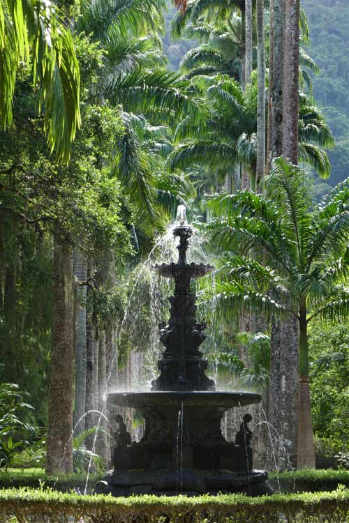 The famed Botanic Gardens of Rio.