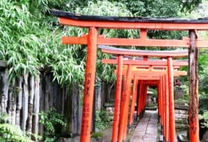 Walk Japan: Exploring the Head, the Heart and the Soul of a Country