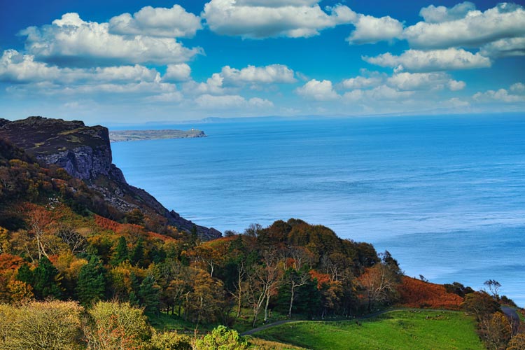 Changing foliage along the rocky coast of Northern Ireland.