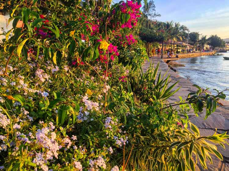 The beautiful waterfront sidewalk stretches for miles along Buzios, lined with flowers and art and shops and restaurants.