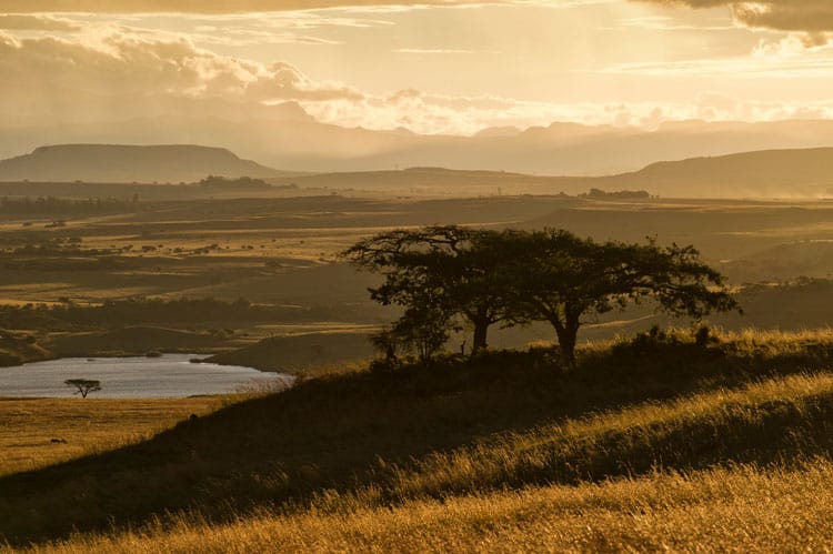 Sunset at the Three Tree Hill farm.